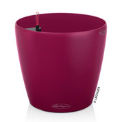 CLASSICO Color 43 - Vermelho - LECHUZA